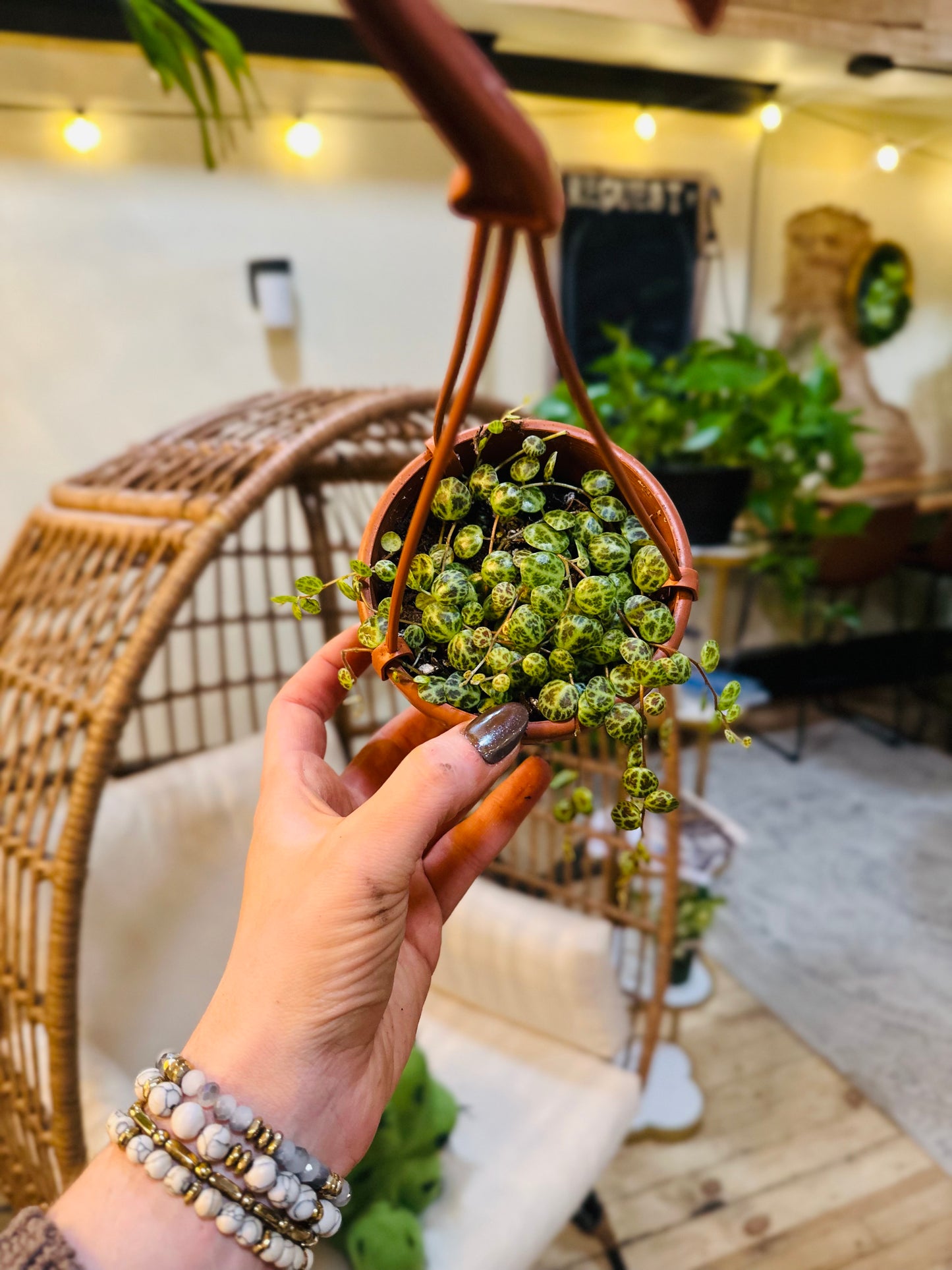 4" String of Turtles Basket