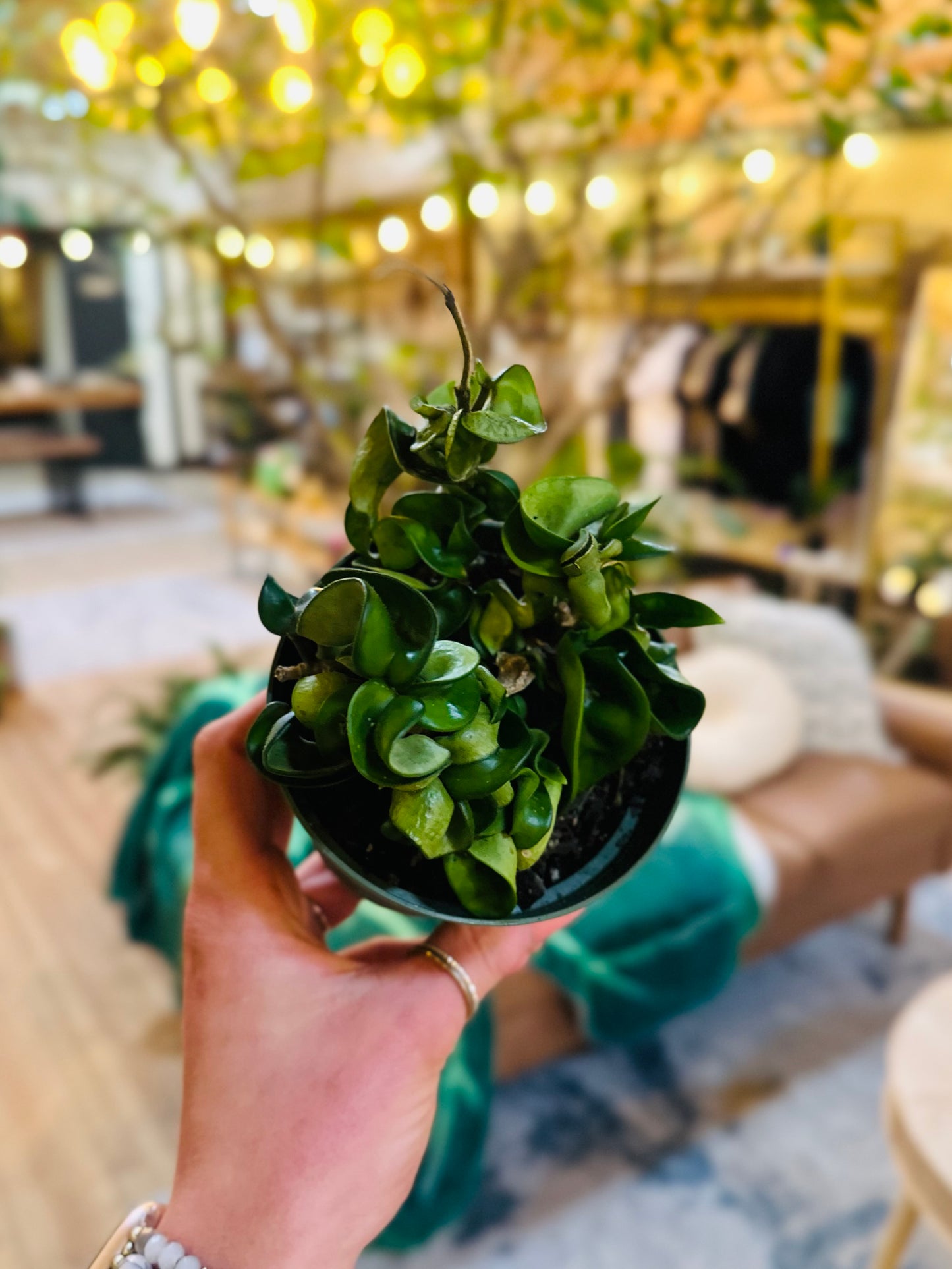 4" Hoya Rope