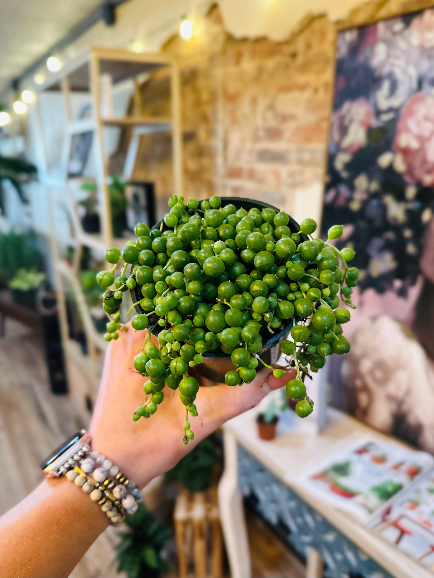 4" String of Pearls