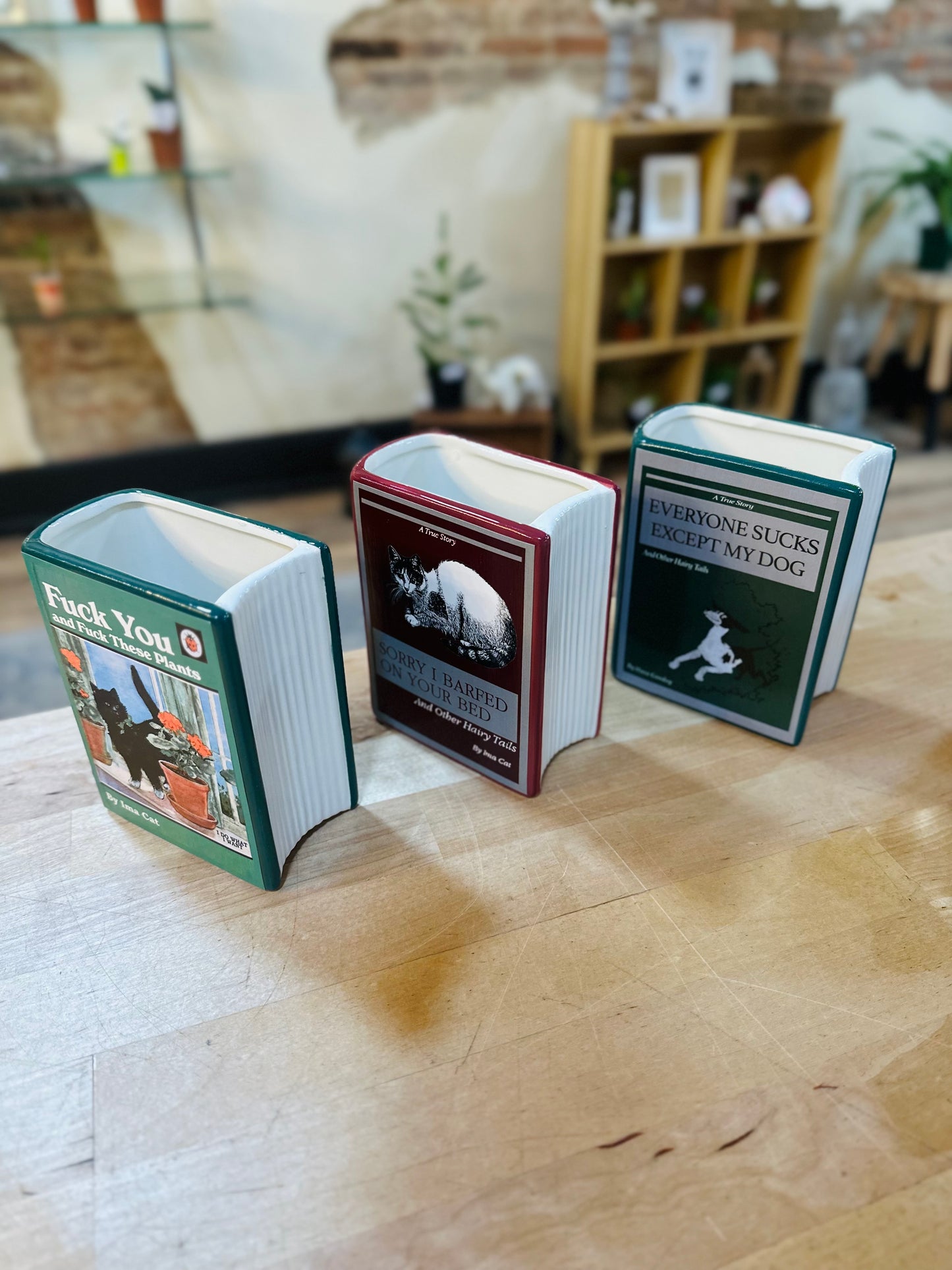 Cats & Plants Book Vase