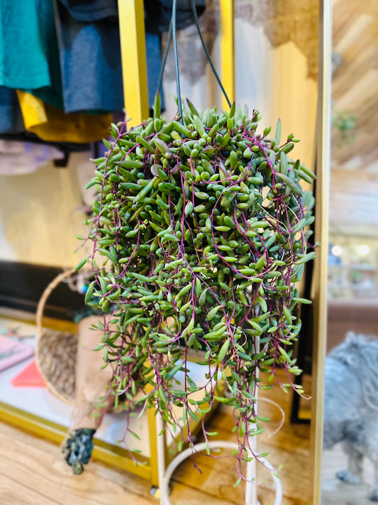 6" Ruby Necklace Basket