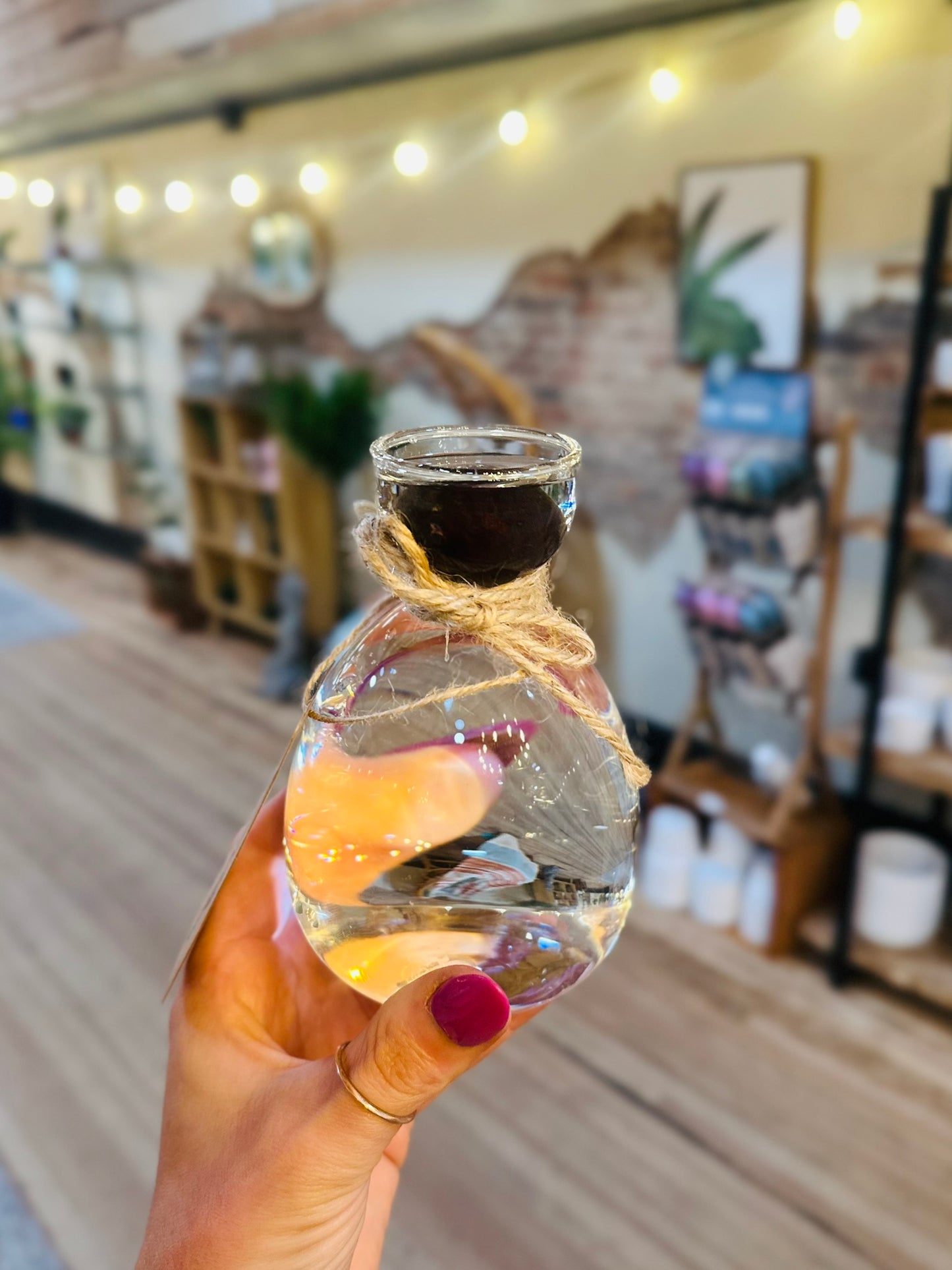 Avocado Seed Vase