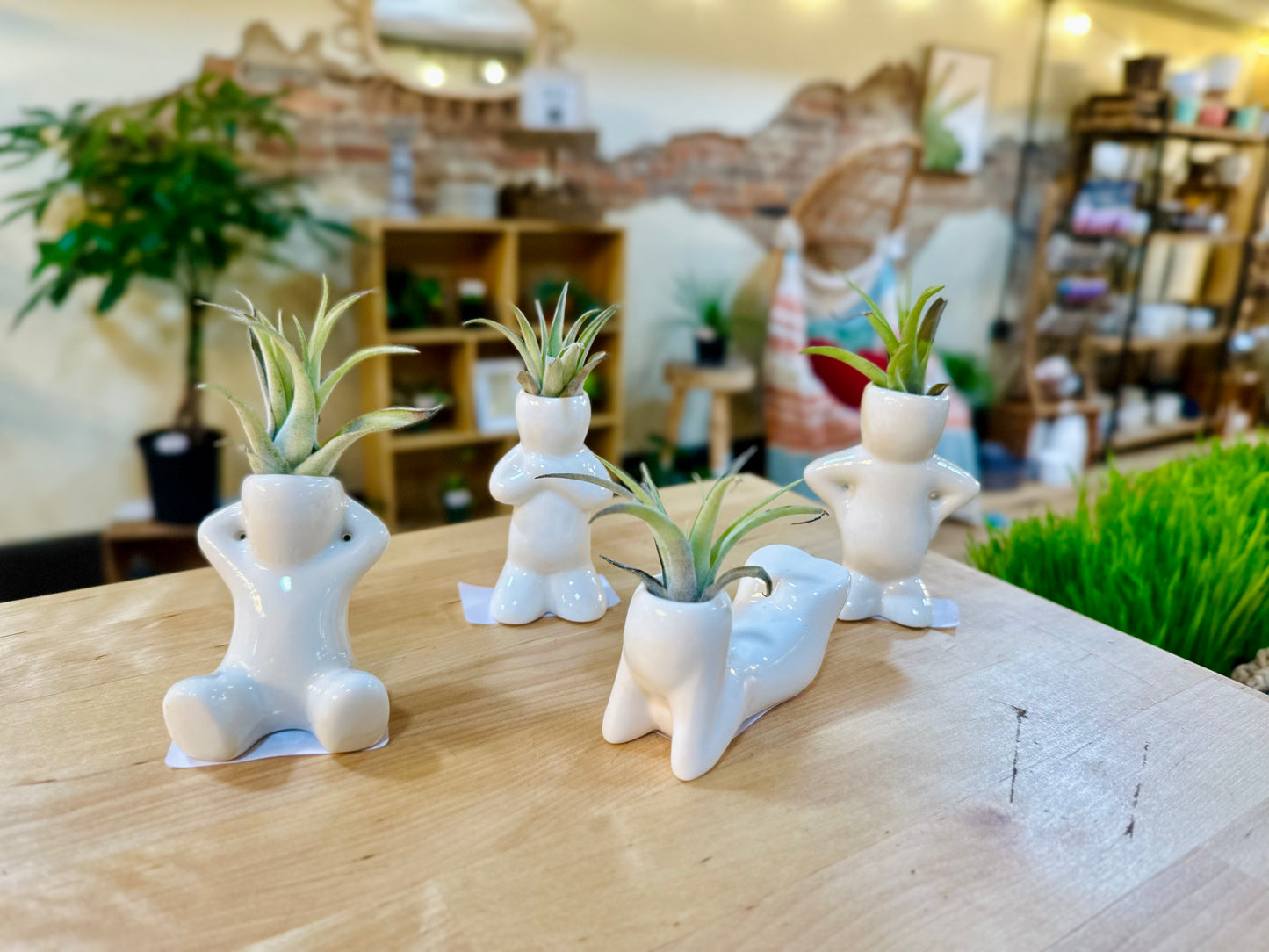 Ceramic Air Plant Buddies
