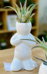 Ceramic Air Plant Buddies