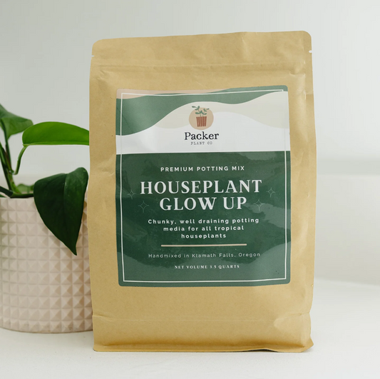 Packer Plant Houseplant Potting Mix
