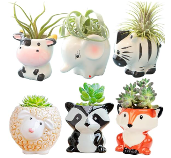 Animal Air Plant Holder