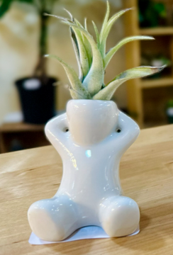 Ceramic Air Plant Buddies