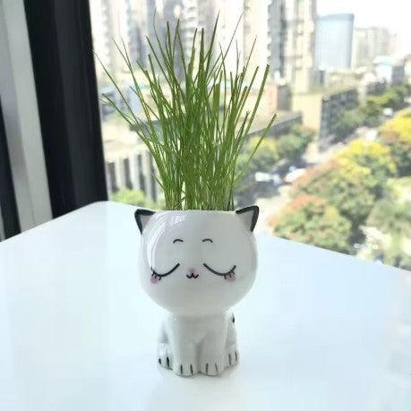 Kitty Planter
