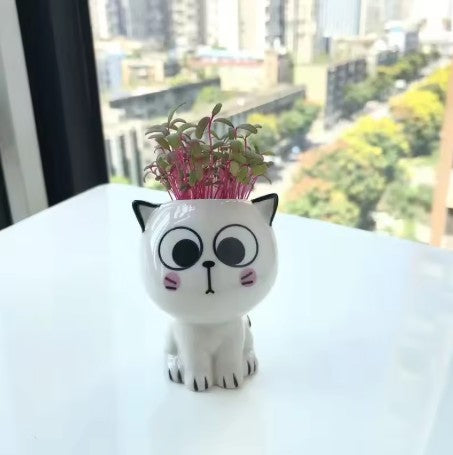 Kitty Planter