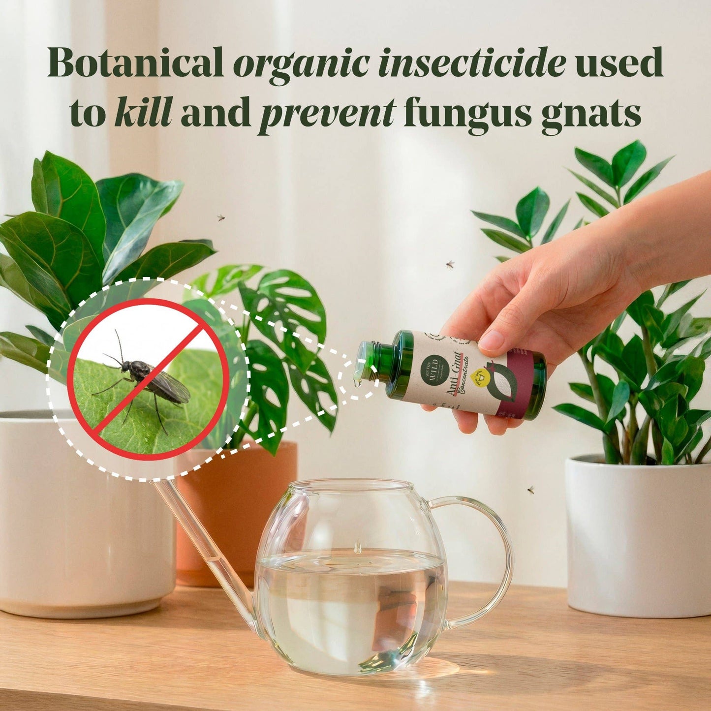Anti-Gnat Concentrate Drops