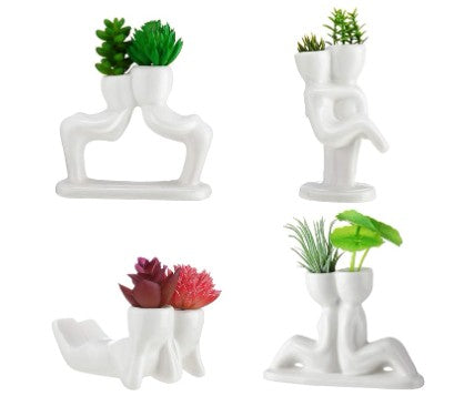 Air Plant Couples