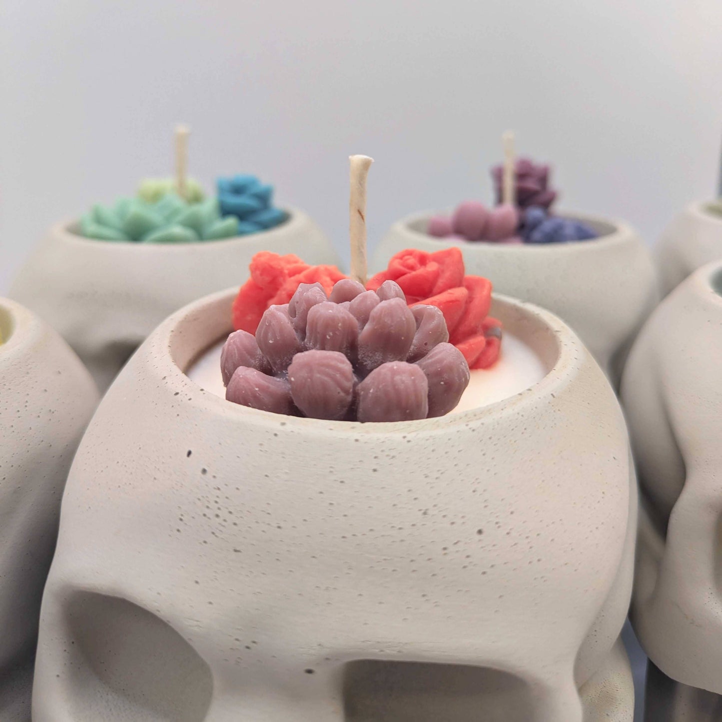 Skull Succulent Candle