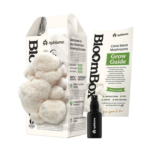 Lion’s Mane Mushroom Grow Kit