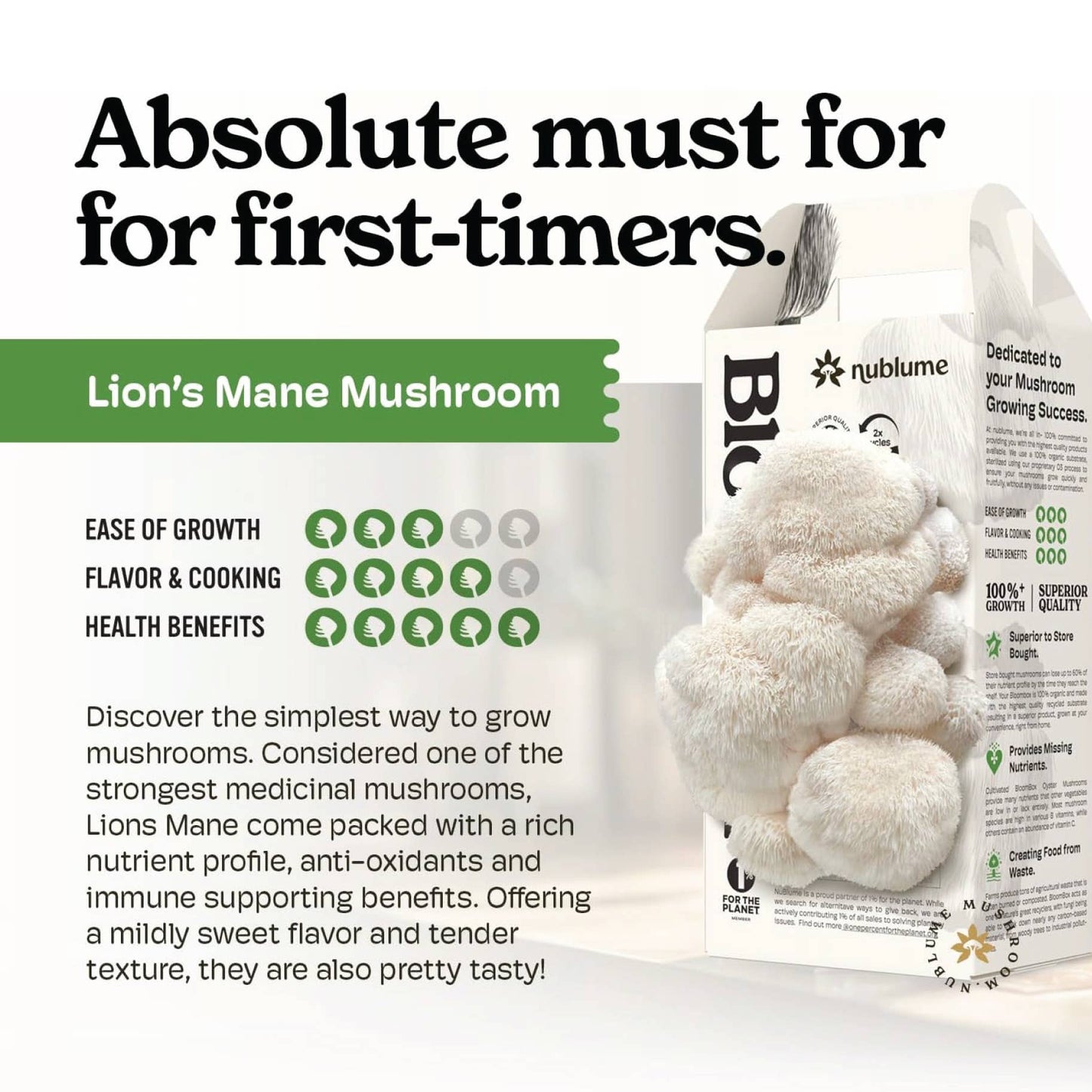 Lion’s Mane Mushroom Grow Kit
