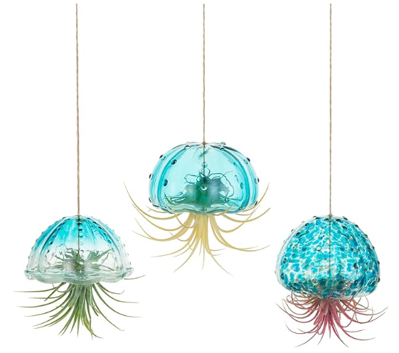 Glass Jellyfish Air Plant Hanger