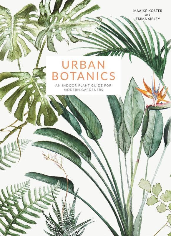 Urban Botanics: An Indoor Plant Guide for Modern Gardeners: Paperback