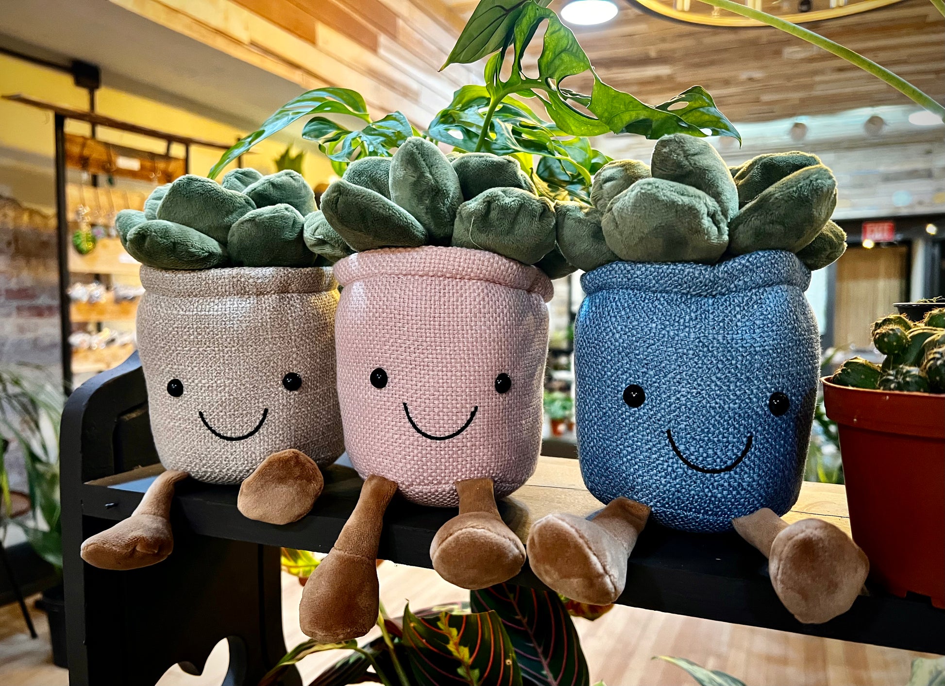 plush plant succulent Happy Succulent Plush